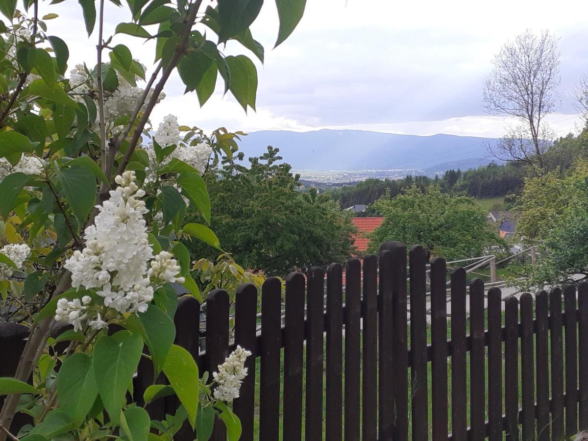 Agroturystyka Lysa Gora เยเลเนียกูรา ภายนอก รูปภาพ
