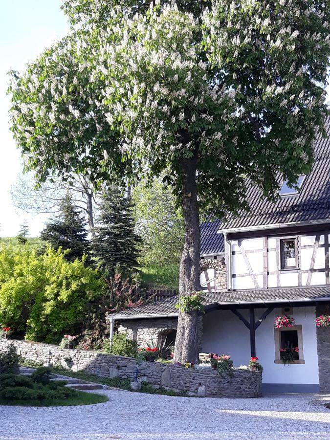 Agroturystyka Lysa Gora เยเลเนียกูรา ภายนอก รูปภาพ