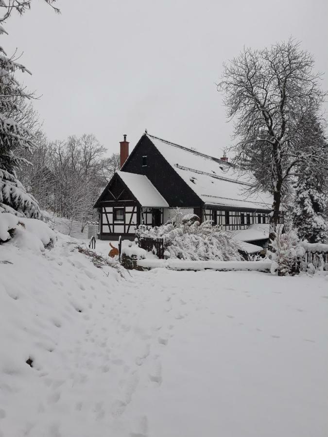 Agroturystyka Lysa Gora เยเลเนียกูรา ภายนอก รูปภาพ